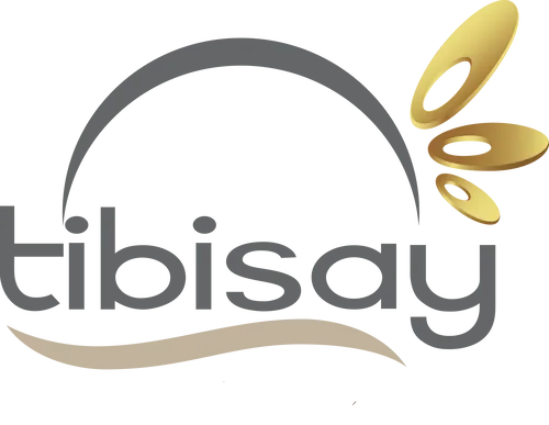 Hoteles Tibisay